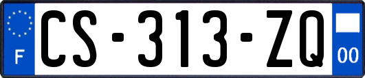 CS-313-ZQ