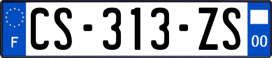 CS-313-ZS