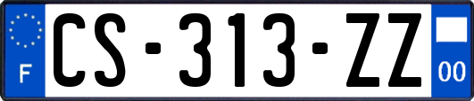 CS-313-ZZ