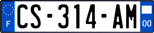 CS-314-AM