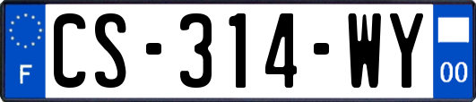 CS-314-WY