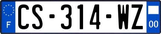 CS-314-WZ