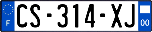 CS-314-XJ