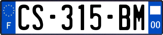 CS-315-BM