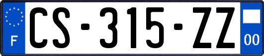 CS-315-ZZ