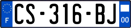 CS-316-BJ