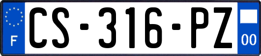 CS-316-PZ