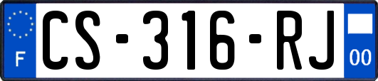 CS-316-RJ