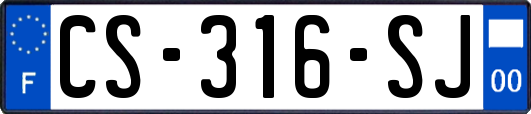 CS-316-SJ