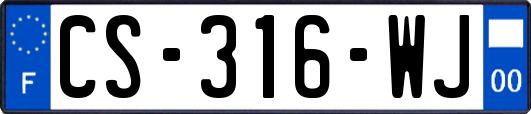 CS-316-WJ