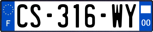 CS-316-WY