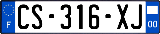 CS-316-XJ