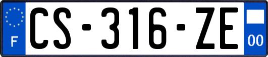 CS-316-ZE