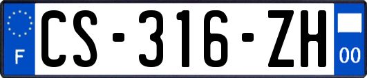 CS-316-ZH