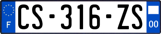 CS-316-ZS