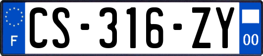 CS-316-ZY