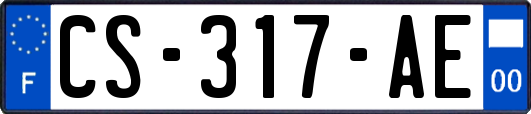 CS-317-AE