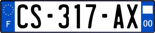 CS-317-AX