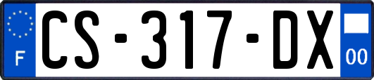 CS-317-DX
