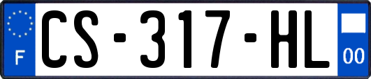 CS-317-HL