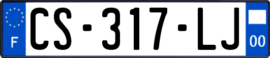 CS-317-LJ