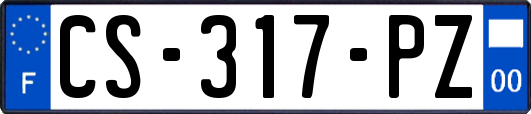 CS-317-PZ