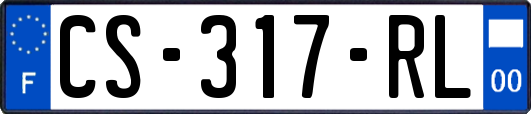 CS-317-RL