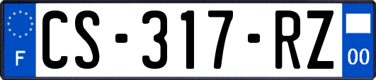 CS-317-RZ