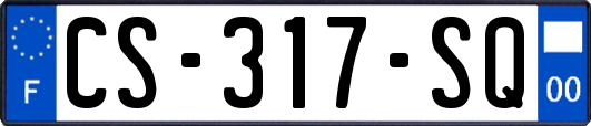 CS-317-SQ