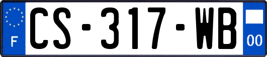 CS-317-WB