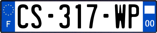 CS-317-WP