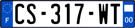 CS-317-WT