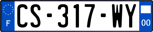 CS-317-WY