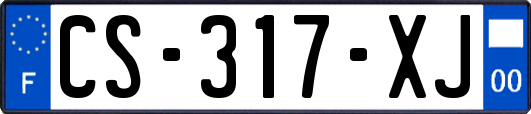 CS-317-XJ