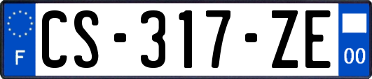 CS-317-ZE