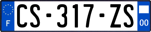 CS-317-ZS