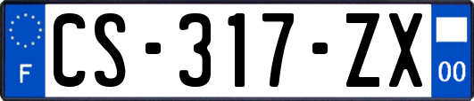 CS-317-ZX