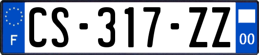 CS-317-ZZ