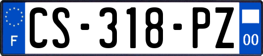 CS-318-PZ