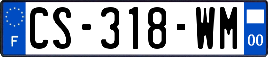 CS-318-WM