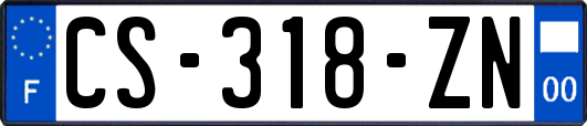 CS-318-ZN