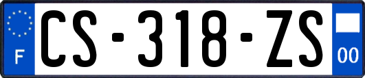 CS-318-ZS