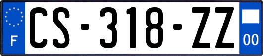 CS-318-ZZ