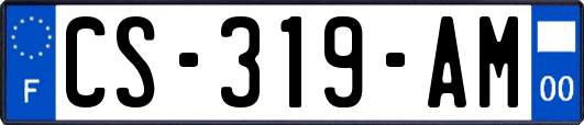 CS-319-AM