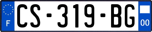 CS-319-BG