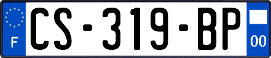 CS-319-BP