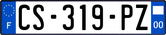CS-319-PZ