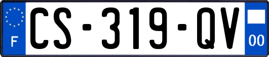 CS-319-QV