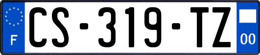 CS-319-TZ