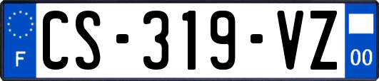 CS-319-VZ